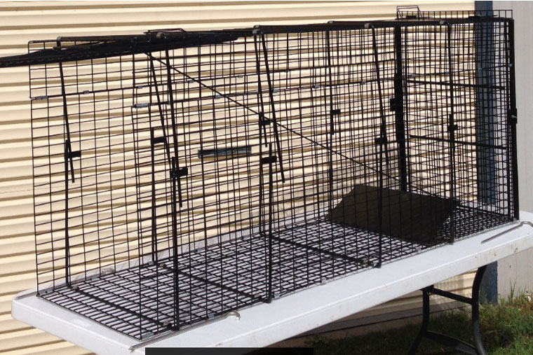 PESKY WILD DOG CATCH CAGE